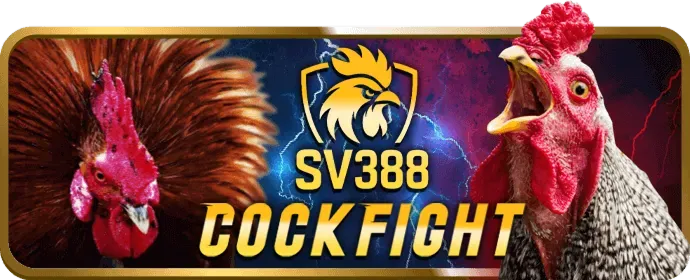 Hoàn trả W88HN